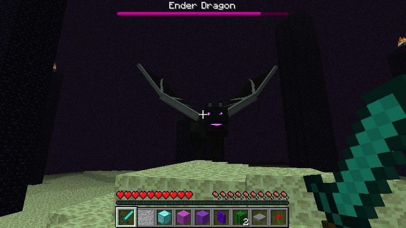 The Ender Dragon