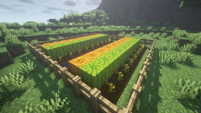 Melon and pumpkin farm (Image via Minecraft)