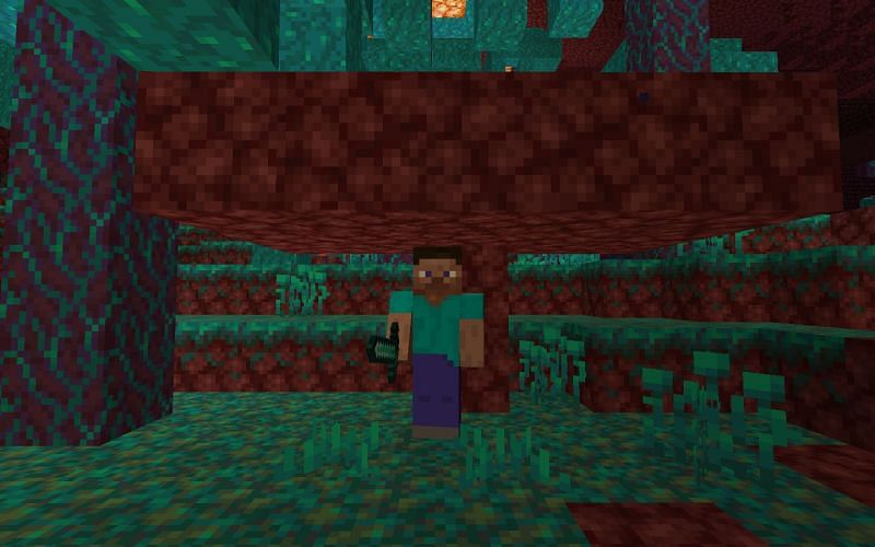 Steve protecting himself from endermen (Image via Minecraft)