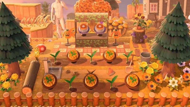 Growing pumpkins in Animal Crossing: New Horizons (Image via u/Lazerwitch on Reddit)