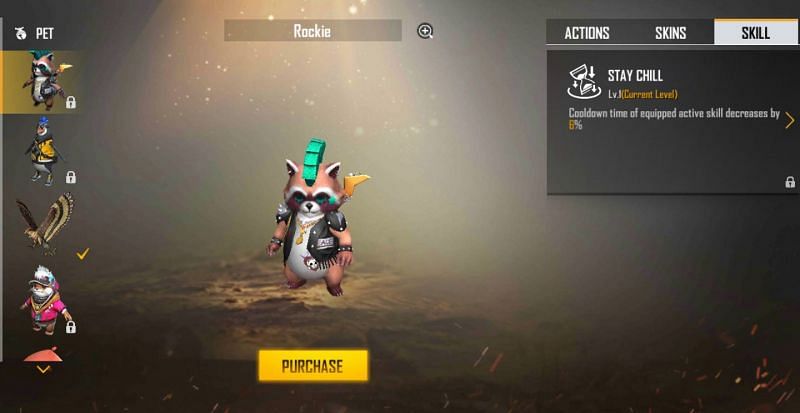 Rockie&#039;s skill reduces the cooldown time of active skills (Image via Free Fire)