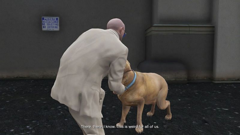 Trevor, stealing Dexie&#039;s collar (Image via GTA Wiki)