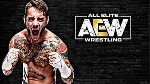 WWE Hall of Famer comments on CM Punk to AEW