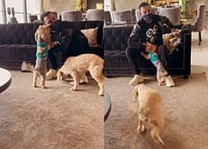 [Watch] Krunal Pandya shares endearing video with pet dogs after returning home from Sri Lanka