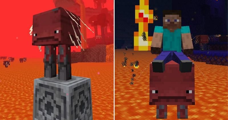 Striders that inhabit the Nether can be ridden like certain Overworld mobs. (Image via Mojang)