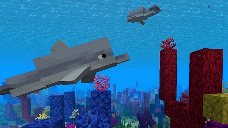 minecraft dolphin hack wurst 1.12.2