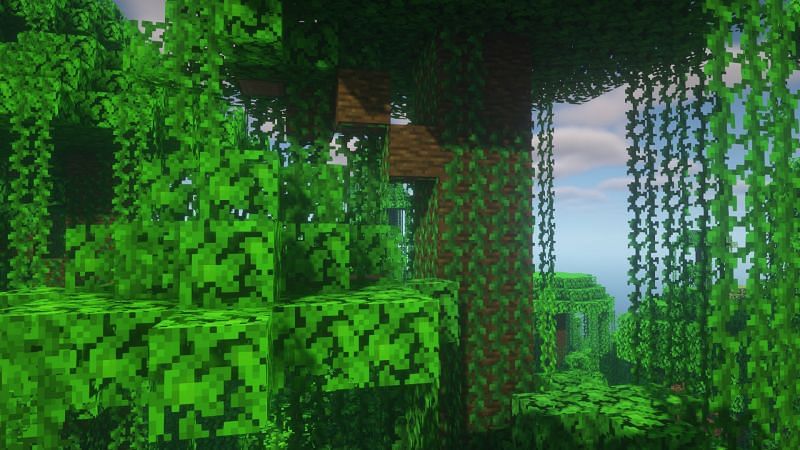 Jungle trees in the game (Image via Minecraft)