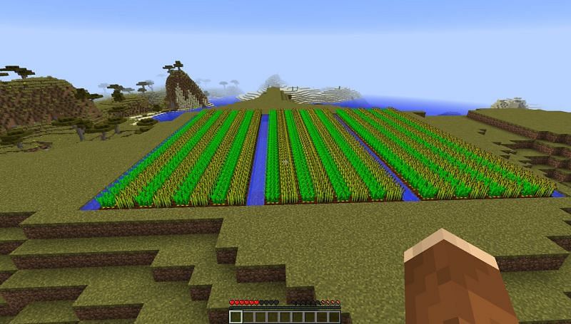 Farm. Image via Minecraft, Reddit