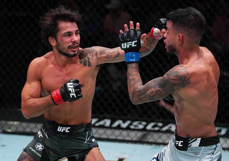 Alexandre Pantoja may net a UFC flyweight title shot following his win over Brandon Royval