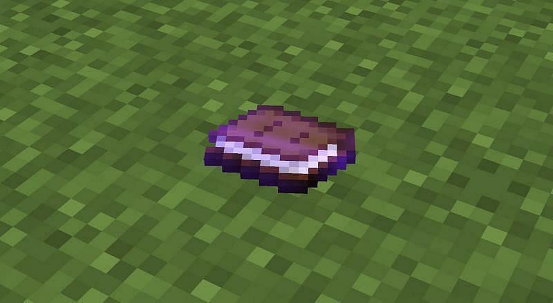 Enchantment books are some of the most valuable fishing loot (Image via Mojang)