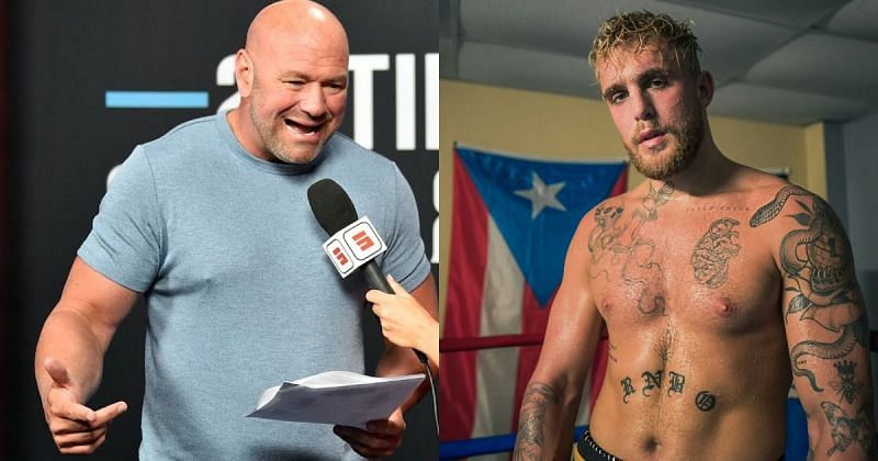 Dana White (left), Jake Paul (right) [Images Courtesy: @VicioMMA @Jakepaul on Twitter]