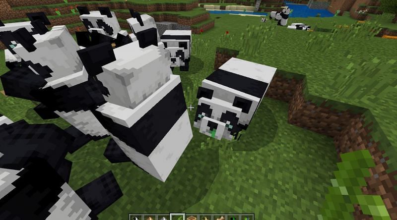 Adorable animals (Image via Minecraft)