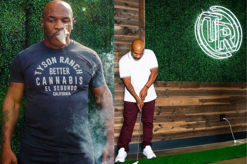 Mike Tyson in his weed ranch resort [Image credits: @tysonranchofficial via Instagram]