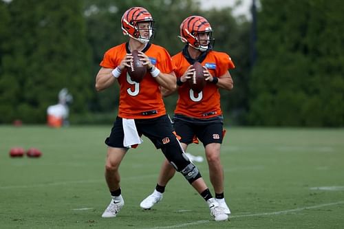 Cincinnati Bengals Training Camp