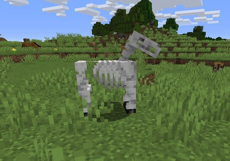 Skeleton horses spawn when horses are struck by lightning. (Image via Minecraft)