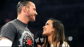 What is CM Punk and AJ Lee's combined net worth?