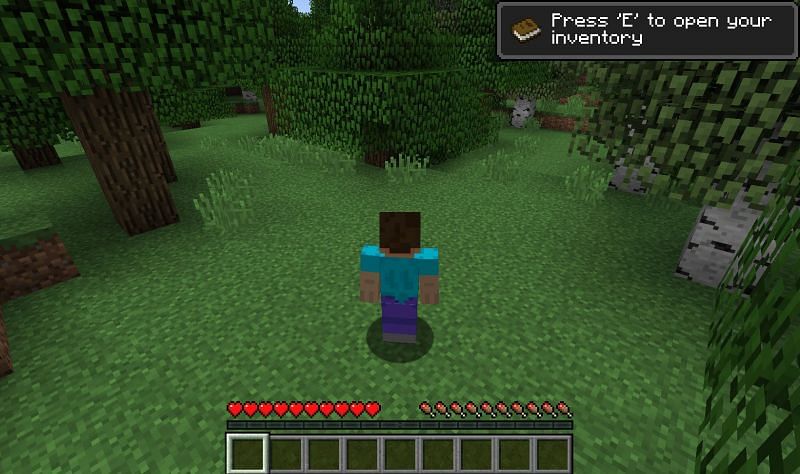 Shadows, or lack thereof (Image via Minecraft)