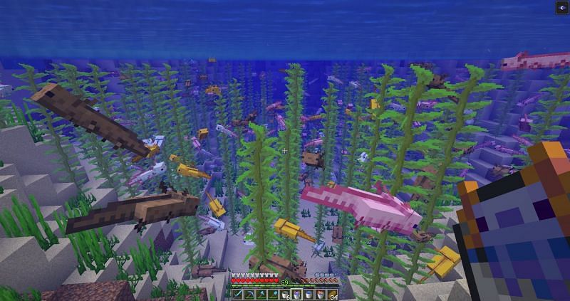 Adorable axolotls (Image via Minecraft)