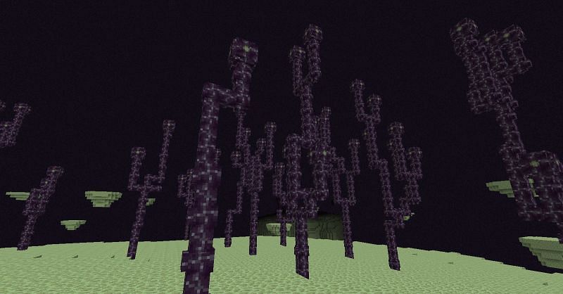 The chorus tree can only be found in the outer islands of the End in Minecraft (Image via minecraft.fandom)
