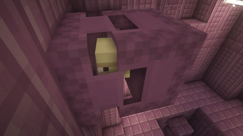 Shulker in the game (Image via Minecraft)