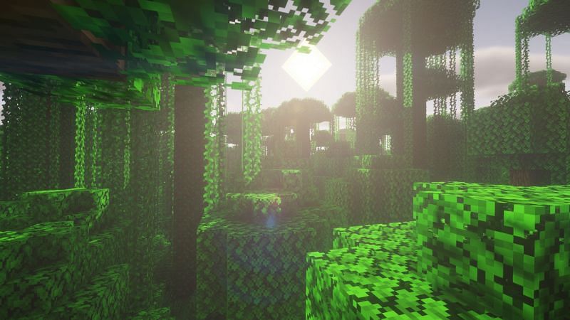 A jungle biome (Image via Minecraft)