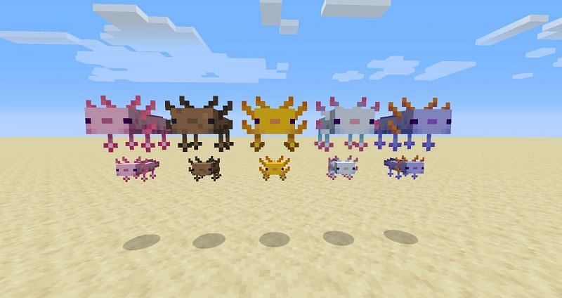 Minecraft Axolotl Art – Telegraph