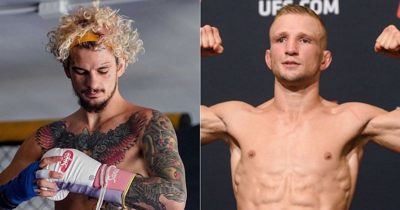 Sean O&#039;Malley (left) and T.J. Dillashaw (right)