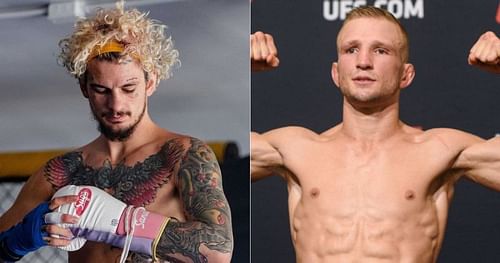 Sean O'Malley (left) and T.J. Dillashaw (right)