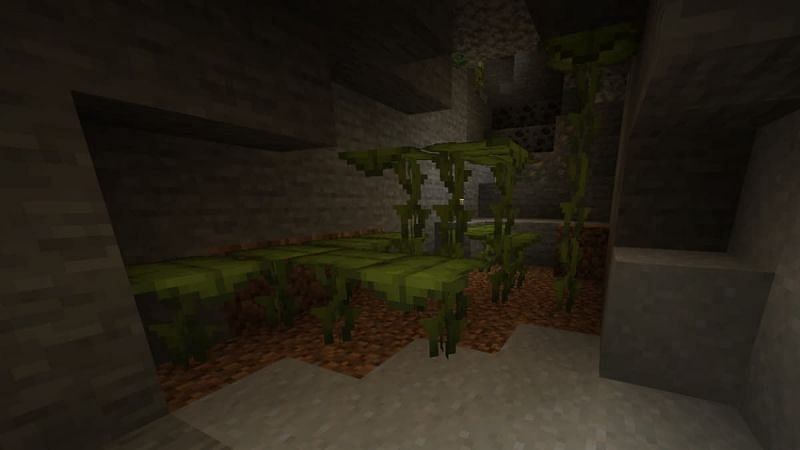 Dripleaf in both of its varieties can be found naturally in lush caves (Image via Mojang)