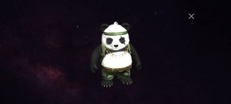 The Detective Panda pet (Image via ff.garena.com)