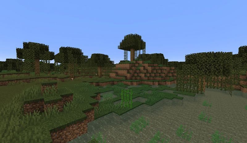 The swamp biome has lots of farming possibilities (Image via Minecraft Fandom)