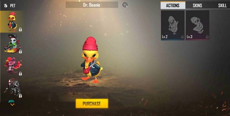 Dr. Beanie and its ability (Image via Free Fire)