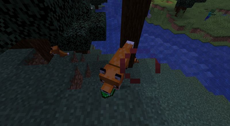 Fox holding emerald (Image via Minecraft)