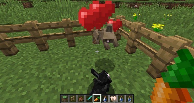 Rabbits in love mode preparing to breed (Image via Minecraft)