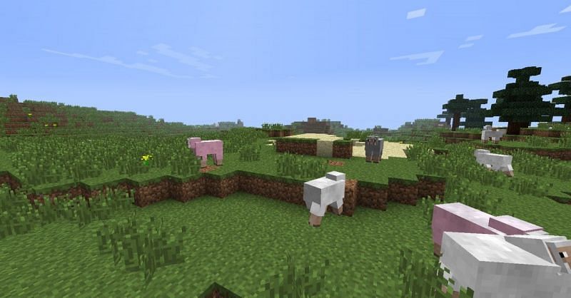 Minecraft sheep (Image via Planet Minecraft)