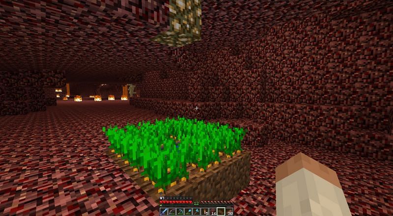 There are many resources to be farmed within the Nether (Image via Minecraft Forum)