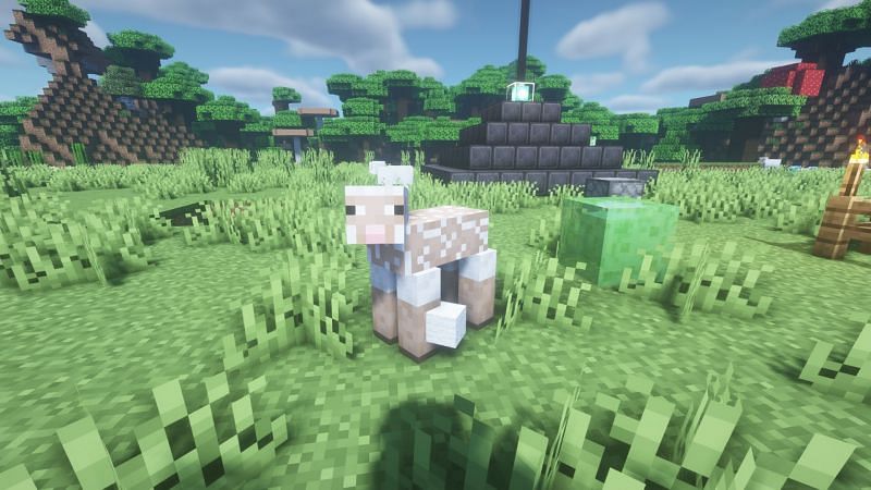 Una oveja esquilada (Imagen a través de Minecraft)