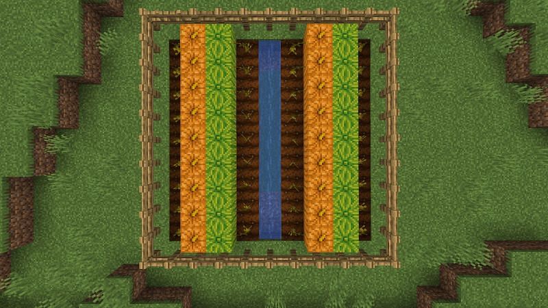 Pumpkin and melon farm (Image via Minecraft)