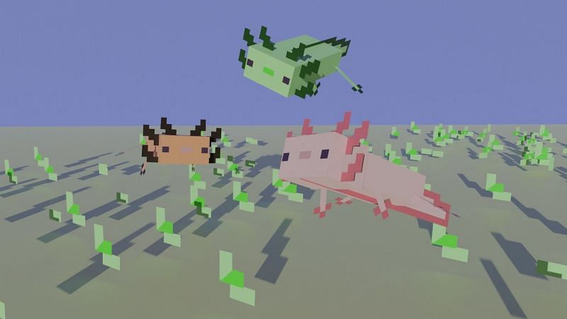 Axolotls (Image via cgtrader)