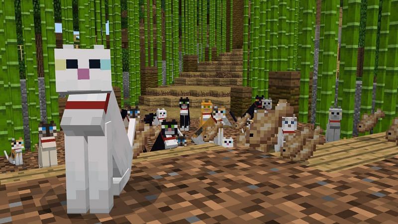 Army of cats (Image via Minecraft)
