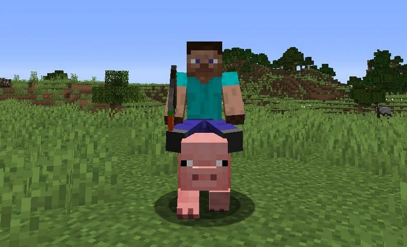 Image via Minecraft Fandom