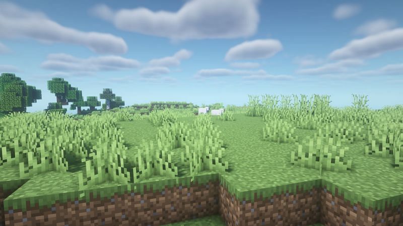 The plains biome (Image via Minecraft)