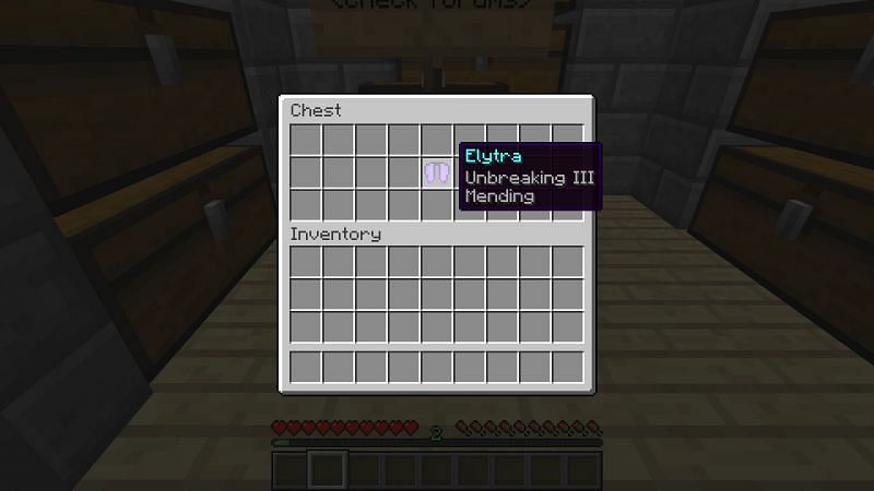 Unbreaking and Mending enchantment on an elytra (Image via Minecraft)