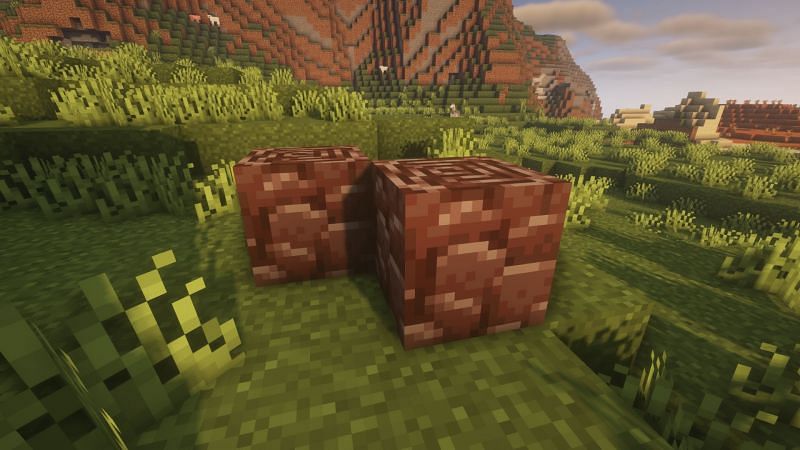 Ancient debris (Image via Minecraft)