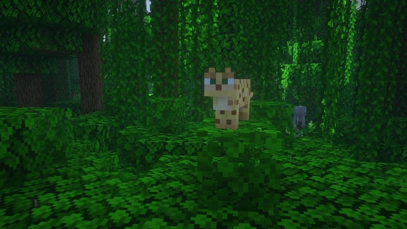 Ocelot in the game (Image via Minecraft)