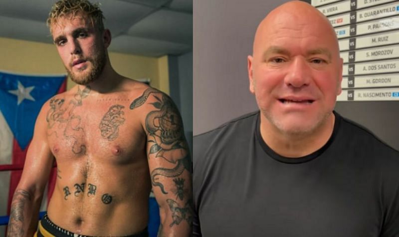 Jake Paul (left); Dana White (right). (Image credit: @jakepaul and @danawhite via Instagram).