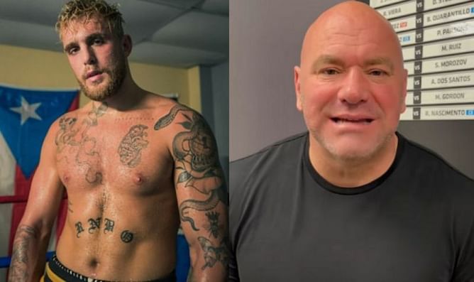 Jake Paul's coach claims Dana White would "not last one round" against 'The Problem Child', says UFC should pay their fighters more