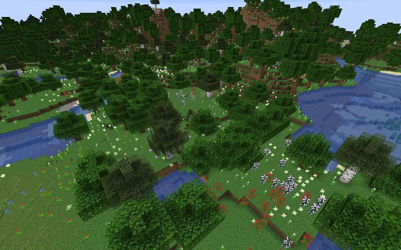 There are many types of forests in Minecraft (Image via Minecraft)