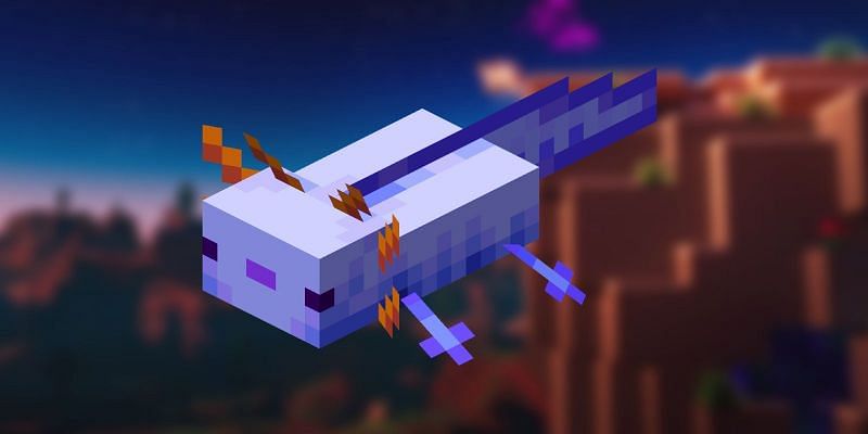 Blue Axolotls are one of Minecraft&#039;s rarest mobs, making acquiring them exceptionally difficult. Image via Mojang)