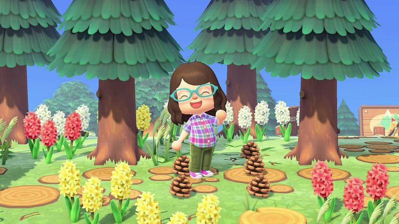 Pines and acorns will be the new crafting items for September (Image via Nintendo)